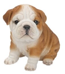 bulldog puppy statue